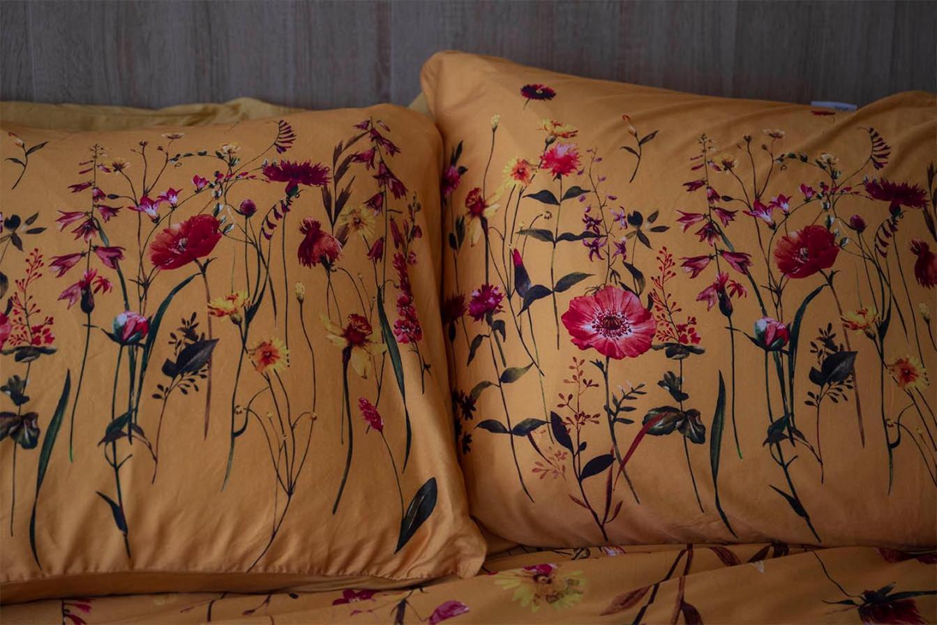 Bloem & Bed Bed and Breakfast 't Zand Εξωτερικό φωτογραφία