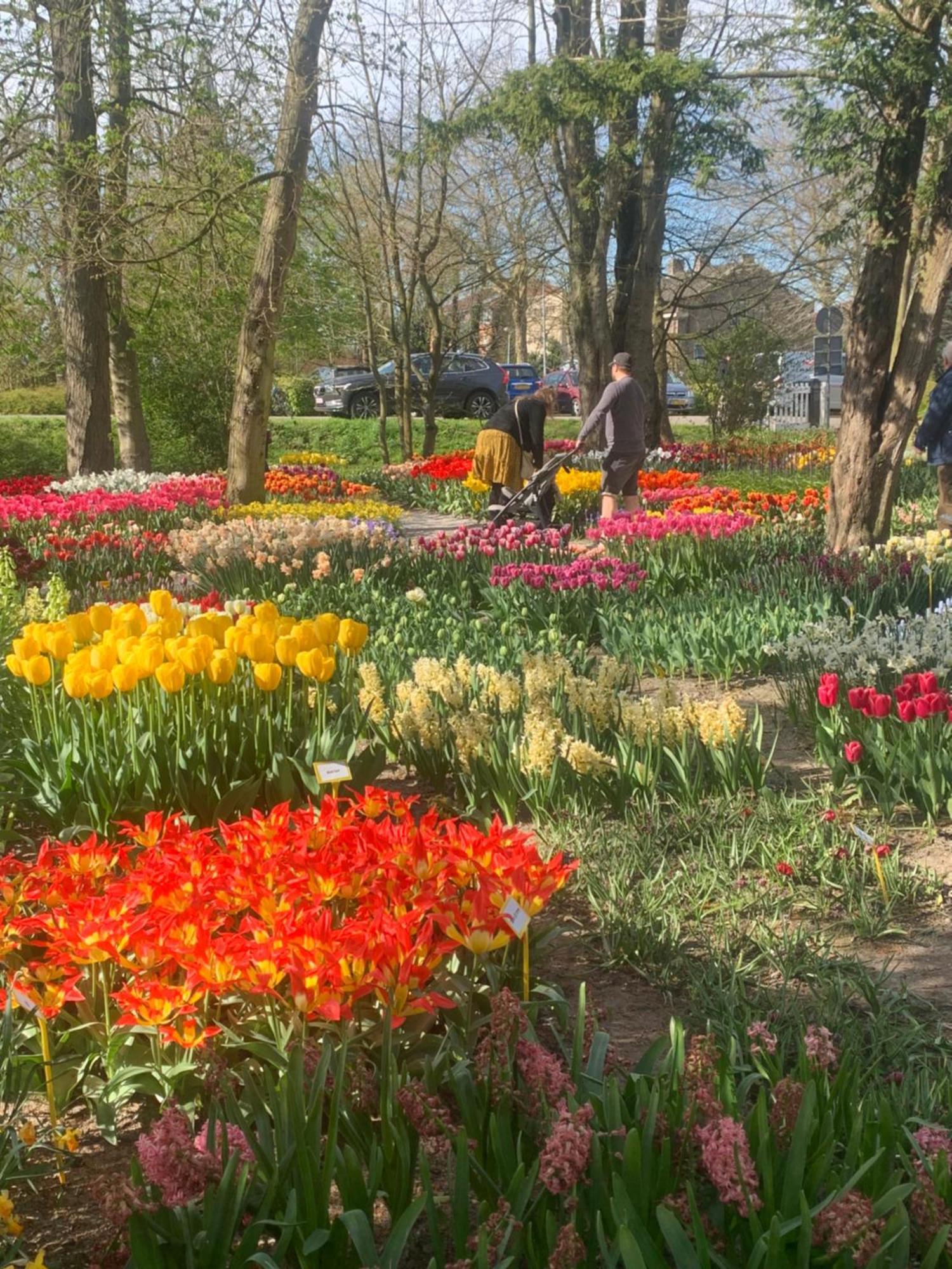 Bloem & Bed Bed and Breakfast 't Zand Εξωτερικό φωτογραφία
